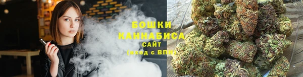 альфа пвп Медвежьегорск