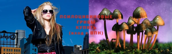 альфа пвп Медвежьегорск
