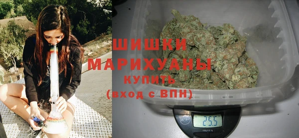 дживик Тихвин